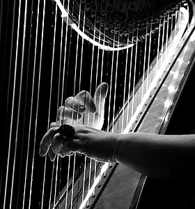 Photo en noir et blanc d'un musicien jouant de la harpe