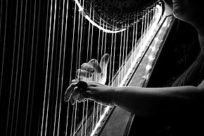 Photo en noir et blanc d'un musicien jouant de la harpe