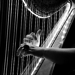 Photo en noir et blanc d'un musicien jouant de la harpe