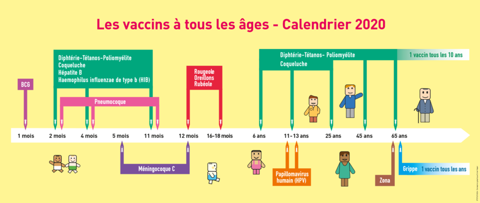 Calendrier simplifié des vaccins / 2020 - Agrandir l'image (fenêtre modale)